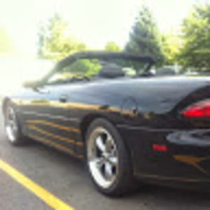 Meet your Posher, Lou